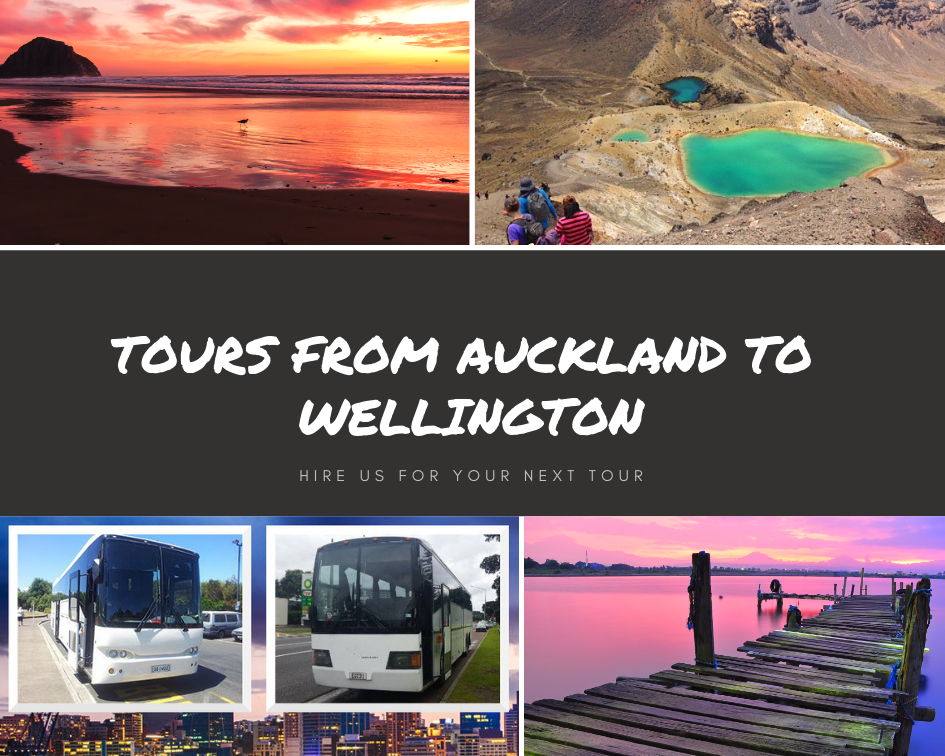 http://allseasonz.co.nz/wp-content/uploads/2019/02/Tours-from-Auckland-to-wellington.png